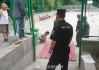篮球场之争落幕：洛阳王城公园关闭球场，另辟新地平息风波