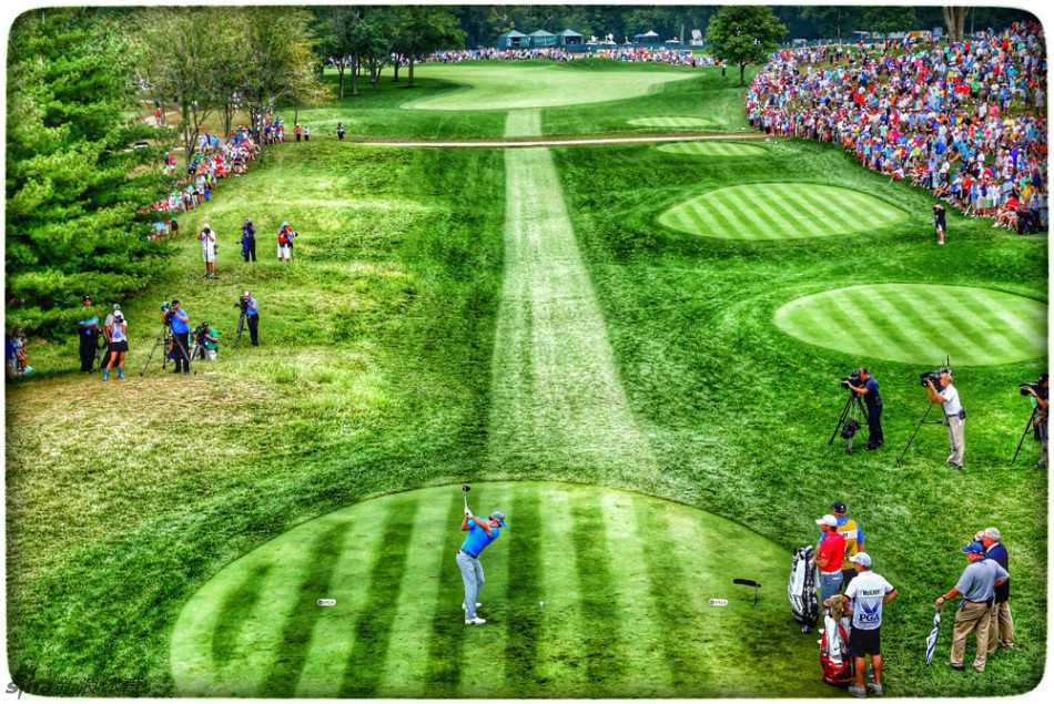 小鸟意外降落在果岭边缘，歪头打量高尔夫球，为紧张赛事增添一抹灵动有趣的插曲，仿佛大自然也在观摩这场对决。