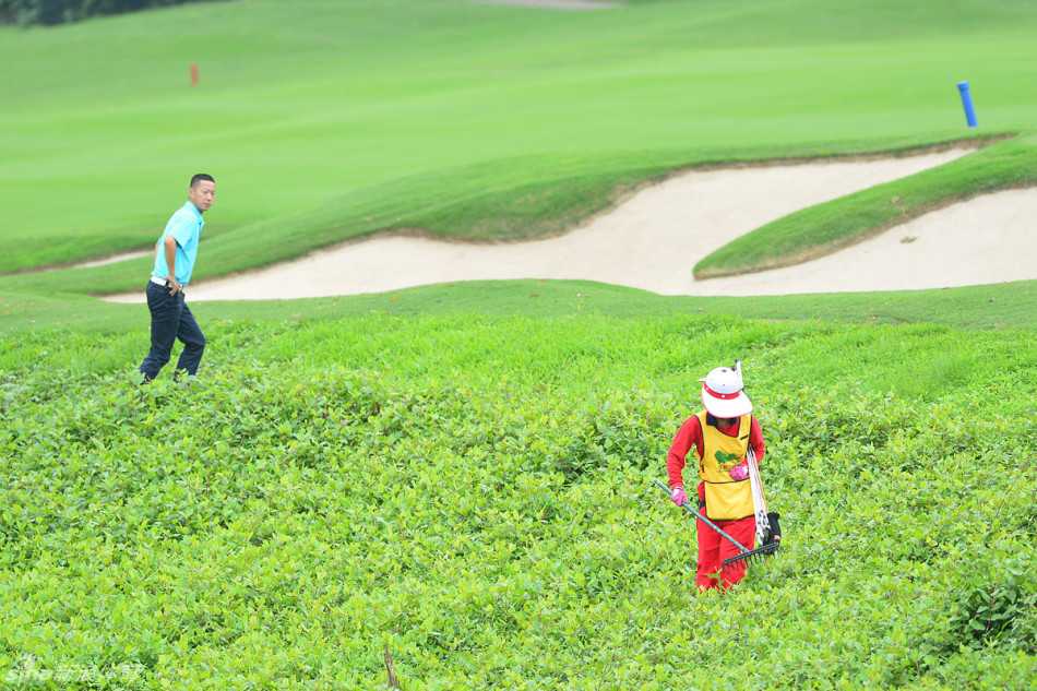 高尔夫球员们在赛场边轻松交流合影，阳光透过树梢洒在笑脸相迎的队员们身上