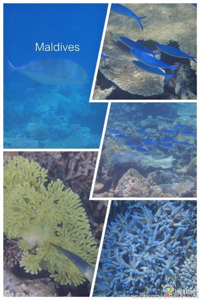 落日余晖洒满印度洋，俞长栋和妻子坐在海边餐厅，共同举杯庆祝这难得的二人世界，他的笑容里写满了对当下生活的享受与珍惜。