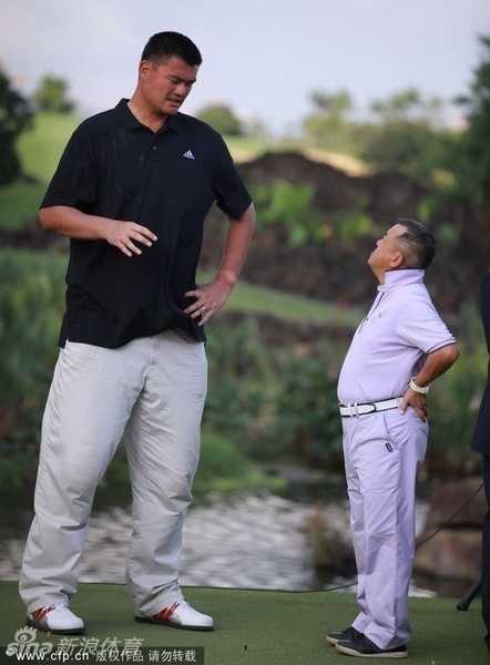 曾志伟与陈乔恩红毯携手，曾志伟深色西装笑容慈祥，陈乔恩裸色长裙飘逸，两人向粉丝挥手致意。