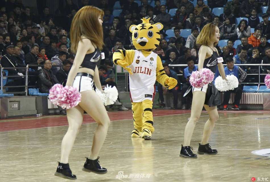 暂停时刻，啦啦宝贝半跪在场地中央为球员加油，吉祥物“老虎”蹲在她身后做出眺望远方的样子，一静一动构成了一幅充满人情味的赛场画卷。