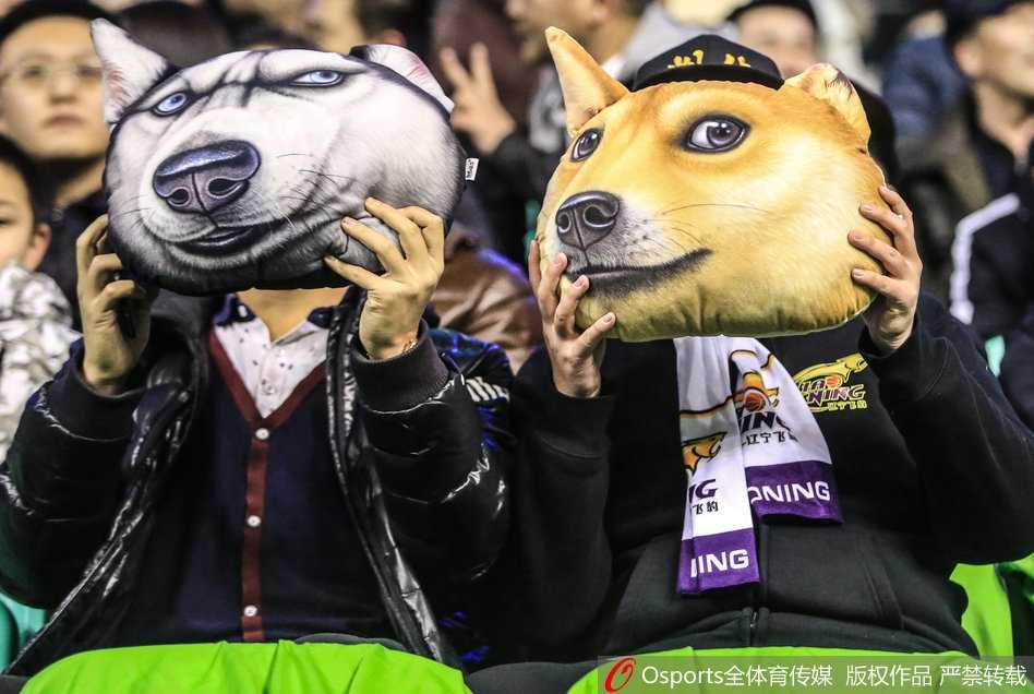 一位年轻的男球迷面对镜头，脸上贴着辽宁队的贴纸，他双手竖起大拇指，眼中闪烁着激动的光芒，张开嘴巴忘情地呐喊，似乎要把自己所有的力量都通过声音传递给场上的队员。