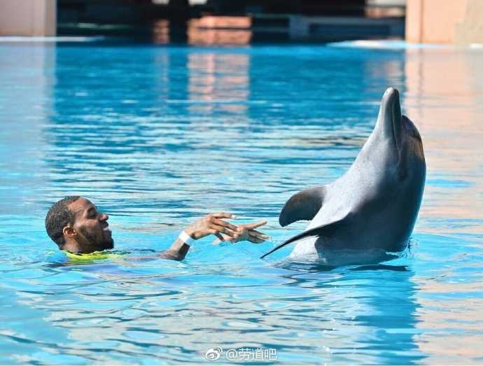 新疆飞虎雄鹰邂逅迪拜海浪:亚当斯与海豚共谱假日乐章 面对这群友好的海洋生物,亚当斯展现出罕见的温柔,他伸出手臂与海豚共舞,水面下的身影显得格外轻松惬意。