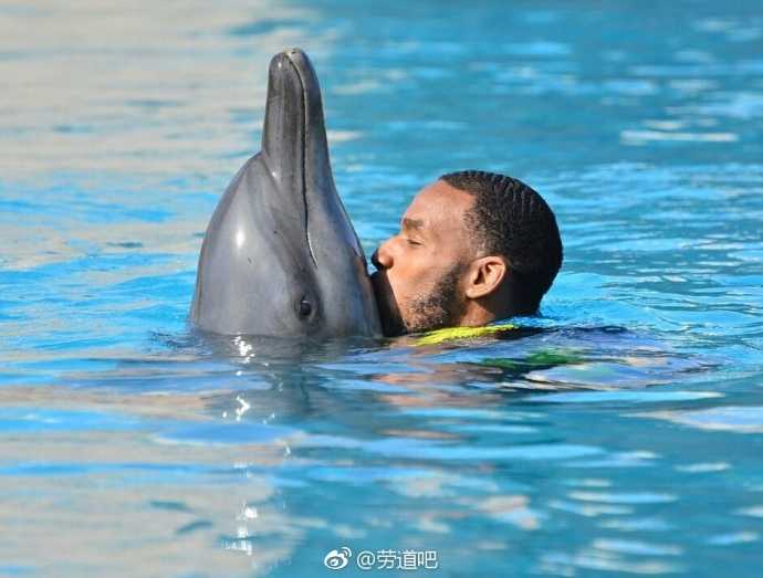 新疆飞虎雄鹰邂逅迪拜海浪:亚当斯与海豚共谱假日乐章 水花飞溅中,亚当斯畅快地与海豚并肩遨游,他脸上洋溢着的笑容比迪拜的阳光还要灿烂,这一刻他不是球场上的孤独英雄。