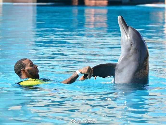 新疆飞虎雄鹰邂逅迪拜海浪:亚当斯与海豚共谱假日乐章 亚当斯轻轻托起一只俏皮的海豚,仿佛在他乡遇故知,这只海洋精灵也仰起头回应着这位来自远方的大个子朋友。