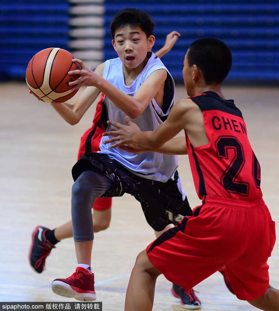 沈阳体育馆内，大幅辽宁篮球旗帜高悬，数百名身穿各色球服的篮球少年整齐列队，他们昂首挺胸，眼神中充满了对即将开始比赛的期待与兴奋。