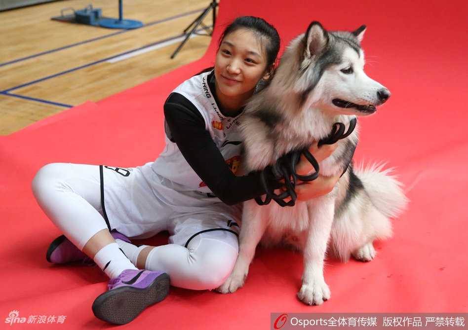 金兰携瑞犬,京城展英姿:北京女篮新春写真定格柔情与霸气 全队围拢与萌犬们合影,每个人脸上都洋溢着幸福的笑容,昭示着这支王者之师在新的一年里必将团结一心,再创佳绩。