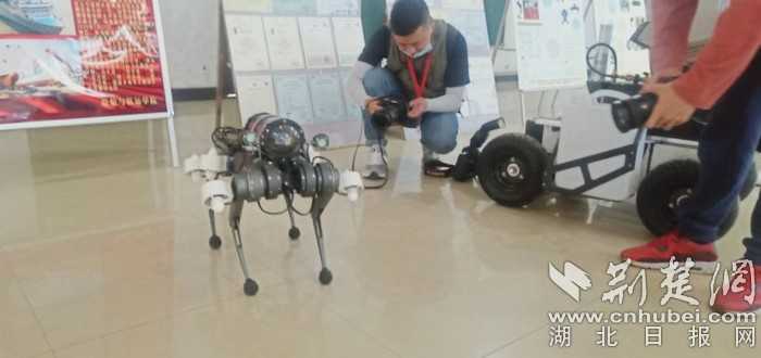 帕丘卡1-1老虎大学：控球劣势下顽强逼平强敌