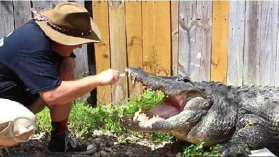 根特vs梅赫伦复盘：季后赛开门红落空，德米尔直言“巨大失望”